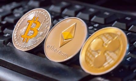 cryptomonnaies