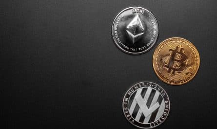 cryptomonnaies