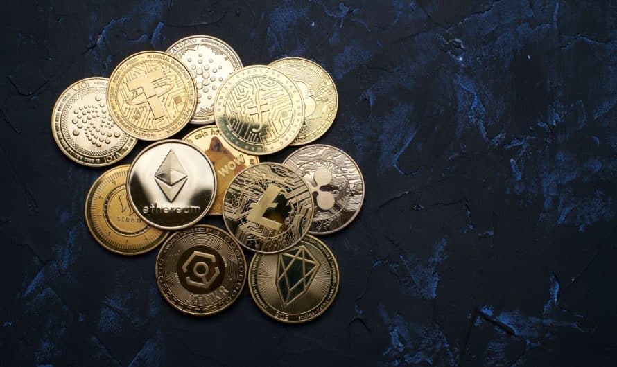 Comment contacter le support SwissBorg en cas de problème ?