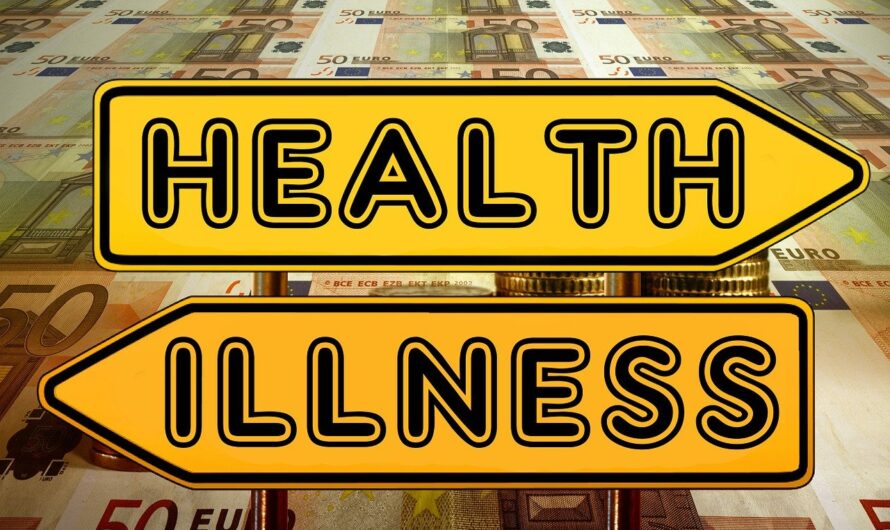 Comment obtenir les meilleures garanties pour une assurance chat abordable