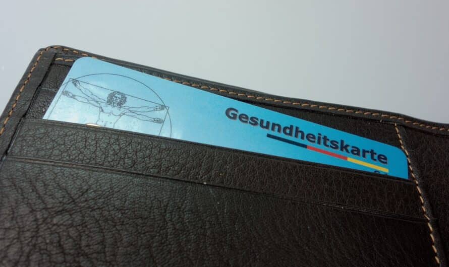 Mutuelle pour chiens de grande taille : les spécificités à connaître