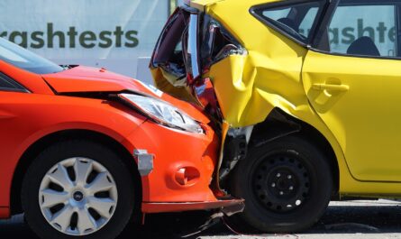 protégez la santé de votre animal de compagnie avec une assurance pour animaux. comparez les garanties, tarifs et trouvez la meilleure assurance santé pour chiens et chats dès aujourd'hui.