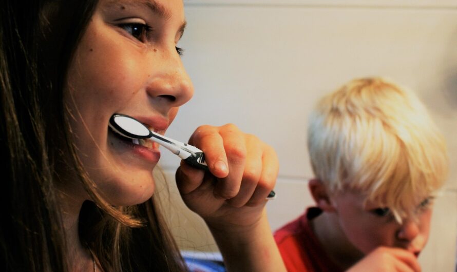 Comparatif des meilleures assurances pour chiens et chats en 2024